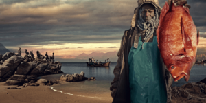 Fish Forward disappear campaign african visual